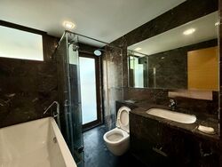 Stevens Suites (D10), Apartment #550131651